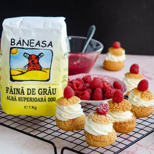 Choux-au-craquelin-cu-zmeura16-1017x1536