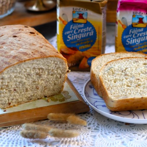 paine-rapida-la-thermomix